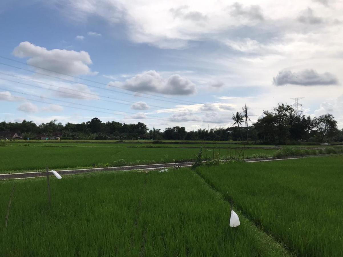 Legiyem Homestay Yogyakarta Exterior foto